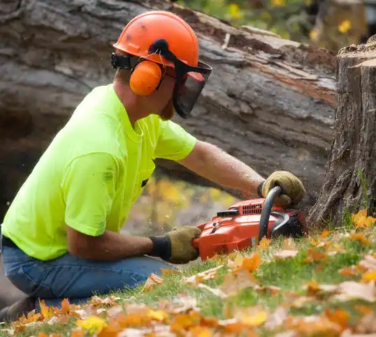 tree services Tatum